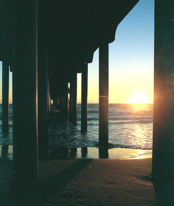 pilings.jpg (82700 bytes)