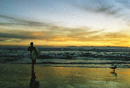 surferthumb.jpg (21454 bytes)
